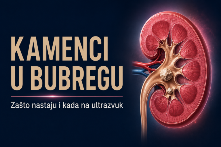 Ilustracija bubrega u presjeku sa kamencima – LENUS Banja Luka